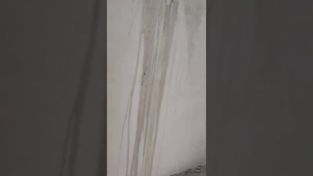 продается квартира в Сочи ЖК Альпийский квартал смотреть онлайн