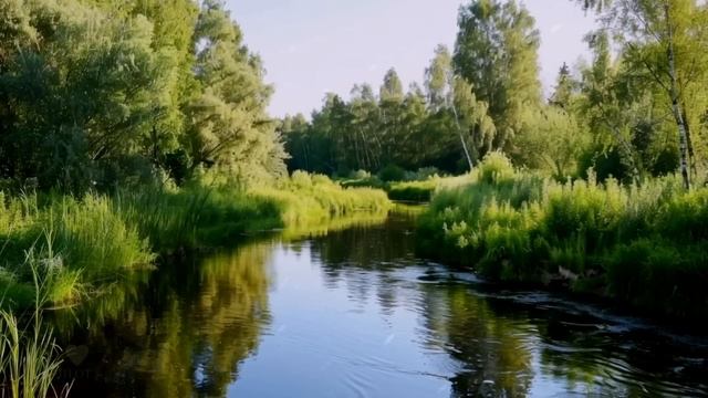 Никита оставил дочку с мачехой и падчерицей. А когда вернулся из командировки не поверил глазам... смотреть онлайн