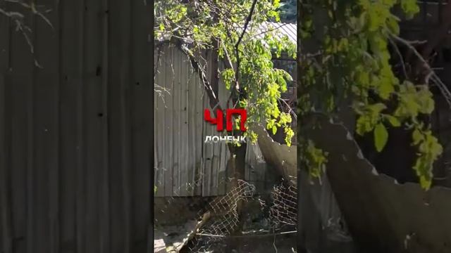 Донецк.Ленинский рн 16.07.2022 смотреть онлайн