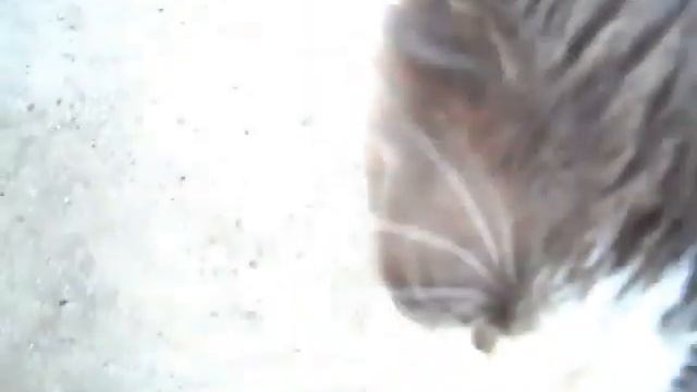 Take off your camera!!! / Камеру убери!!! смотреть онлайн