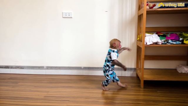 Super Monkey! Bibi went to the market to buy snacks after lulling the baby monkey to sleep! смотреть онлайн