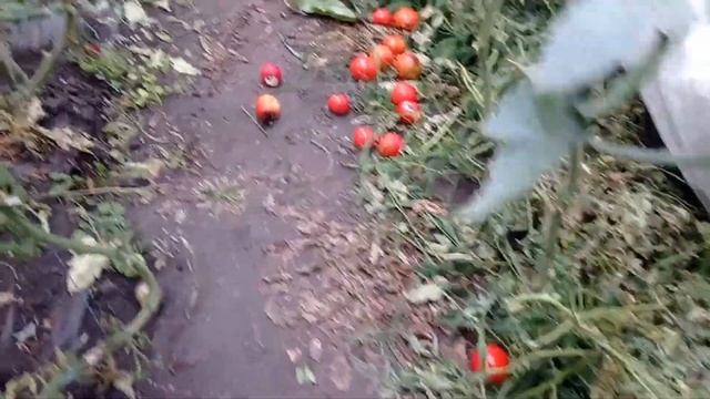Этого могло и не быть. смотреть онлайн