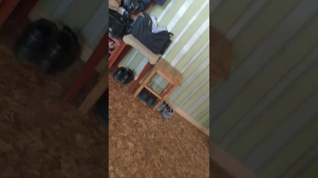 Продажа Лиговский 247, 3 этаж, S=84.1m2 смотреть онлайн