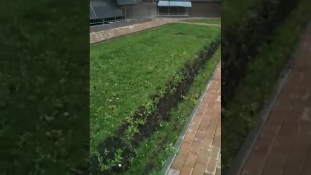 Квартиры в Краснодаре смотреть онлайн