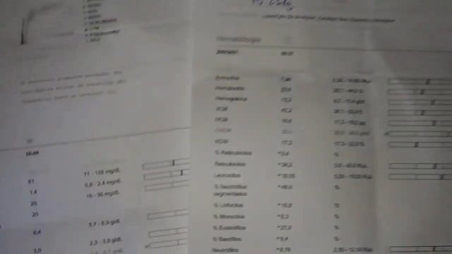 ЦЕНЫ НА ВЕТЕРИНАРИЮ В ИСПАНИИ смотреть онлайн