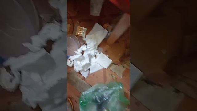 Опять 25 в который раз иду в эту квартиру и как всегда срач смотреть онлайн