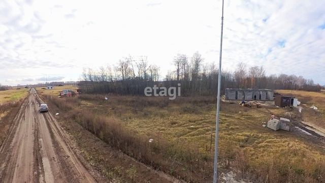 3800783 смотреть онлайн