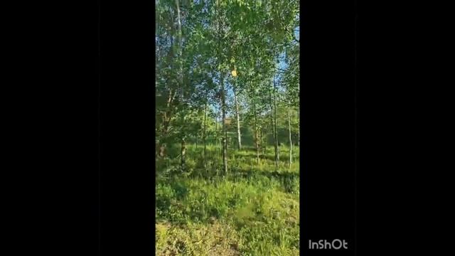 Финский дом с газом.. Муханово- Сущево. ИЖС 15 соток смотреть онлайн