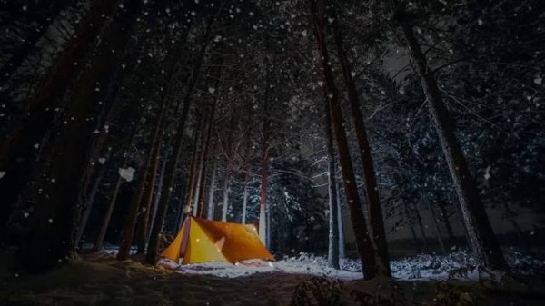 Страшная история. Поход в тайгу.