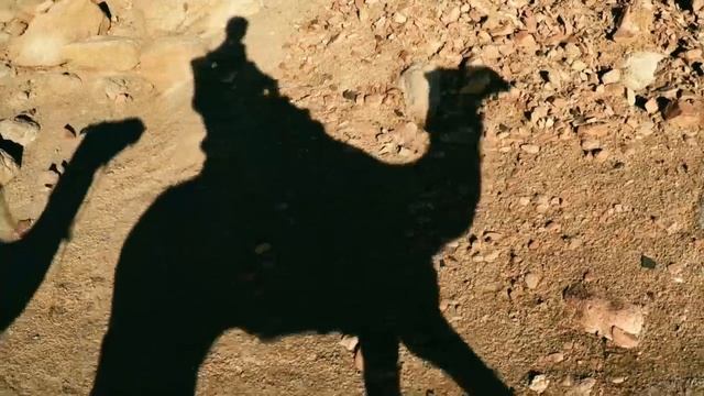 Own It 1 Globetrotters_7_5