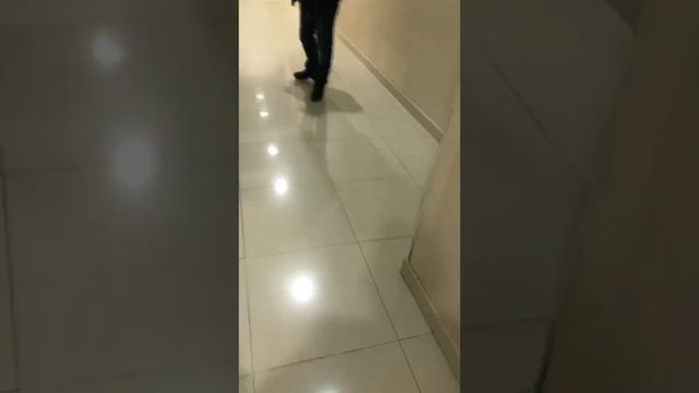 Проверка пожарной безопастности Сан-Сити Новосибирск смотреть онлайн