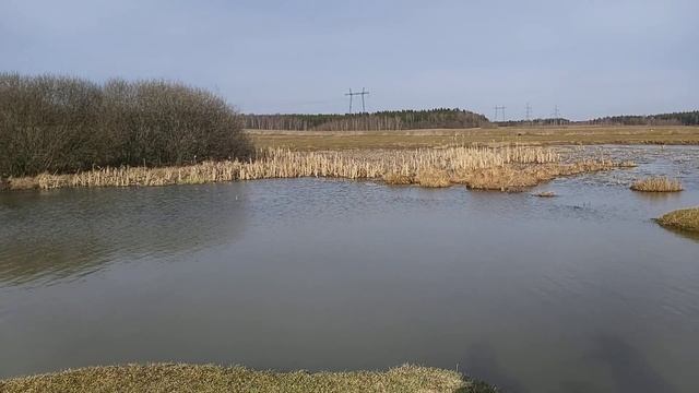 Пруд 2 вблизи ЖК "Новоснегирёвский" смотреть онлайн