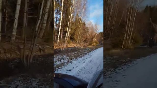 КП Водолей.Дом мечты на лесном острове смотреть онлайн