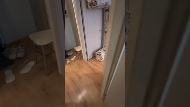 1кв - 40м / Спб, бульвар Александра Грина , 3 / м.Приморская / ЖК Круиз Апарт / аренда смотреть онлайн