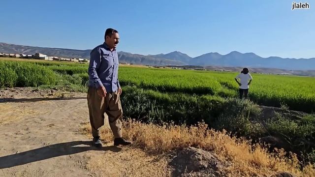 Love Against Traditions: Mojtaba And Zainab In The Battle Against Rural Challenges