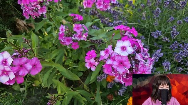 - Не может быть, я же обобрал её до липки - бывший муж застыл, увидев по телевизору богатую жену... смотреть онлайн