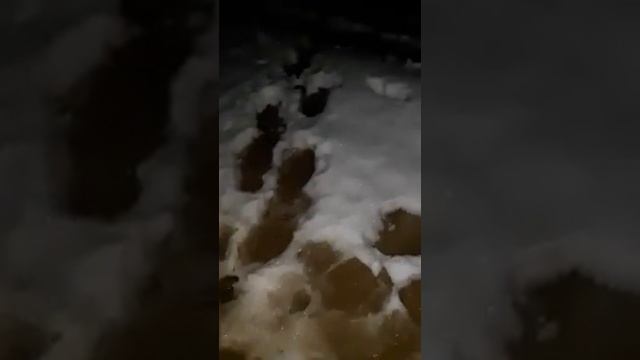 14 марта 2019 г. смотреть онлайн