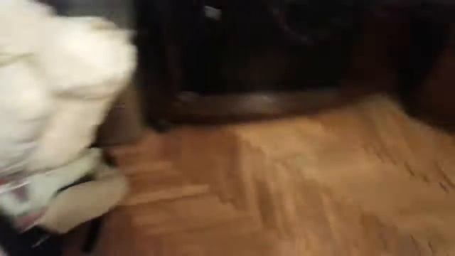 Показываю квартиру смотреть онлайн