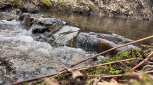 Медитация для снятия тревоги и стресса за 5 минут