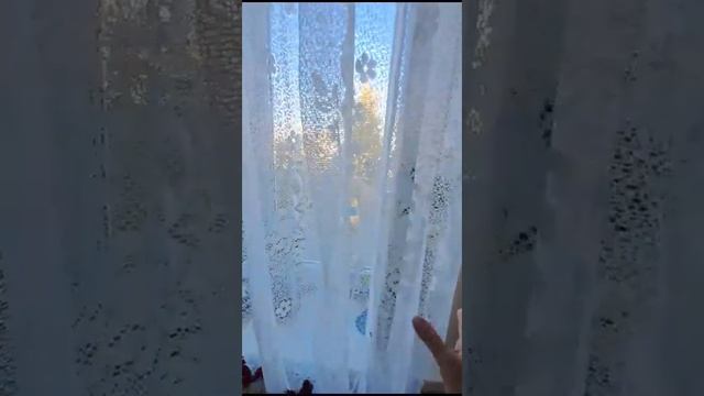 3.Салмышская,5/1 смотреть онлайн