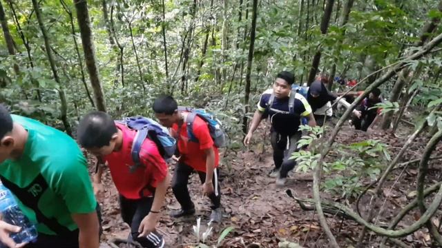 HIKING BUKIT WOH VOL 2 (PENJELAJAHAN LASAK MINGGU PARADIGMA SESI 2/2019) смотреть онлайн