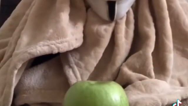 3 часть видов снюсоедов смотреть онлайн