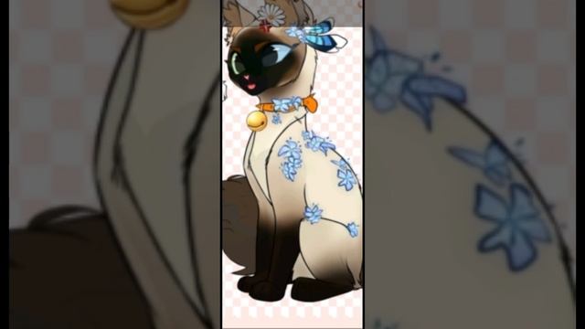 моё первое норм видео вау!)#кв #warriorcats #эдит #котывоители смотреть онлайн