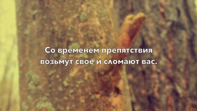 ПРЕПЯТСТВИЕ — ЭТО ПУТЬ смотреть онлайн