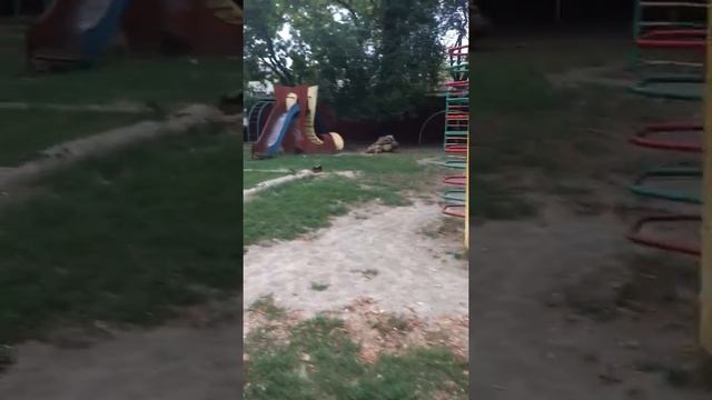 Тяжёлая работа риелторов на раёне смотреть онлайн