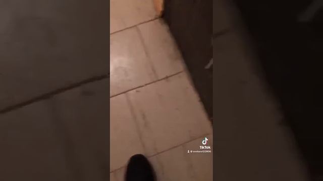 Детям сиротам выдали квартиры смотреть онлайн