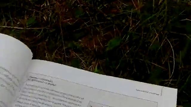 Книга и пулемёт смотреть онлайн