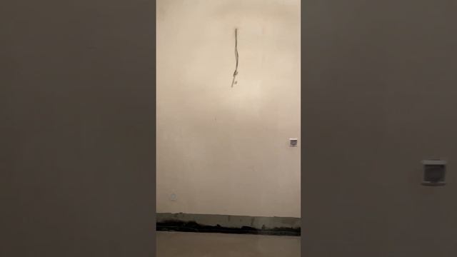 Уютная двухкомнатная квартира в малоэтажной секции ЖК Георг Ландрин смотреть онлайн