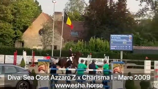 Diva: SEA COST AZZARO Z x CHARISMA I смотреть онлайн