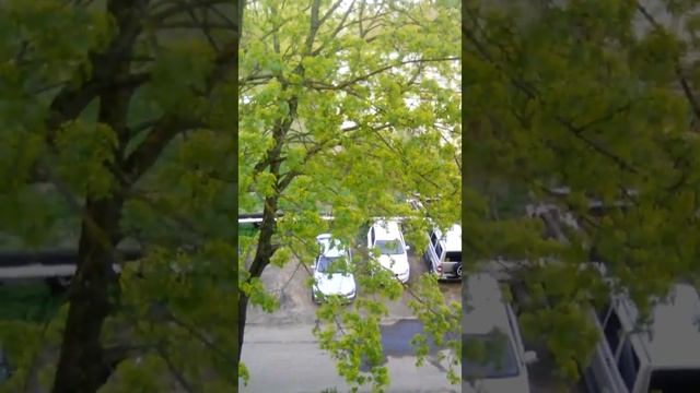 Улица на юбилейной 1 смотреть онлайн