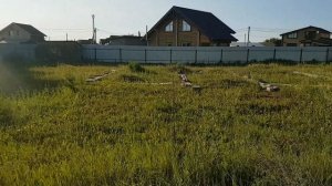 Земельный участок ИЖС 10,2 сот. Завьяловский район, д. Старое Мартьяново, ул. Ясеневая, 2