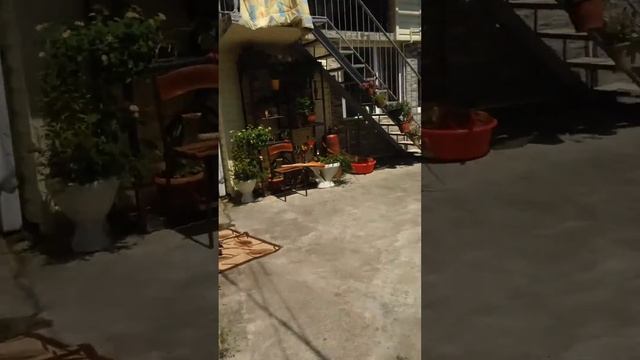 Комнаты в центре Сочи смотреть онлайн