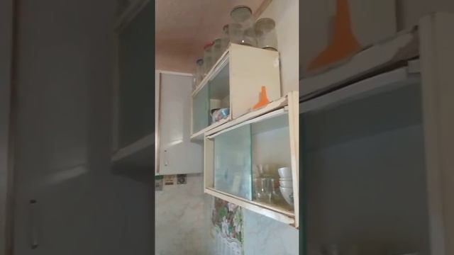 Обзор квартиры. Рошаль смотреть онлайн