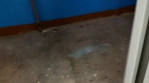 ДОХЛЫЙ ИНФОРМАТОР! Лифт NLM EVOLUTION, Q=400, V=1.0 m/s, 2023 г.в. Саранск, ул. Победы 27, п. 4