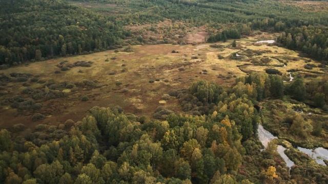 Съемка объекта недвижимости г. Владимир смотреть онлайн