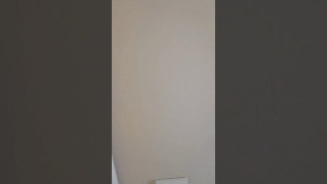 Ремонт от застройщика. #ипотека #инвестициивнедвижимость #купитьквартирувмоскве #финансы