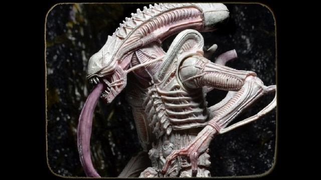 The Worker Xenomorph (Weavers) Stage 5 XX121 - Alien Species Explained смотреть онлайн
