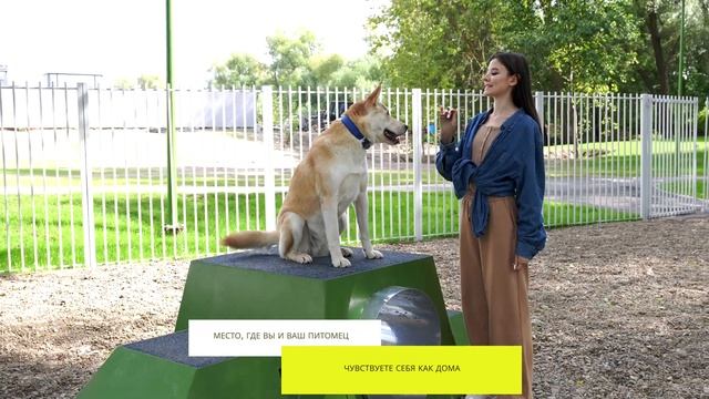 "Территория дружбы" площадка для занятий и игр с собаками в ЖК Светлая Долина, г.Казань смотреть онлайн