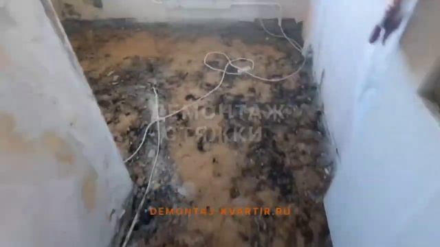 Демонтаж квартиры на Кантемировской смотреть онлайн