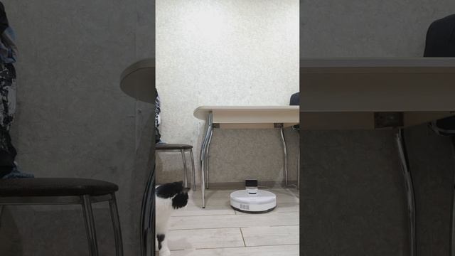 робот пылесос Dreame Trouver s10 #пылесос #пыль #уборка #пол #роботпылесос #дача #дом #ремонт #кове смотреть онлайн