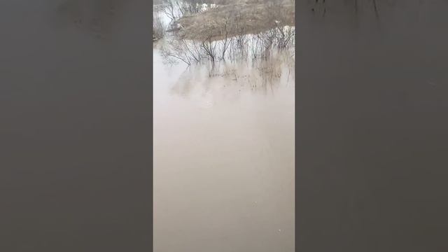 Новоалтайск смотреть онлайн