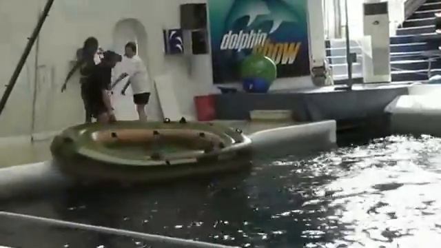 Varna 2010 Delfinarium смотреть онлайн