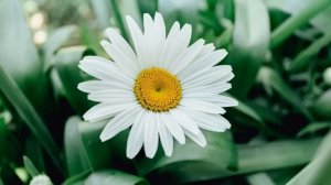 Муж выгнал жену с маленьким ребёнком на руках. А через время, умолял вернуться. То, что произошло..