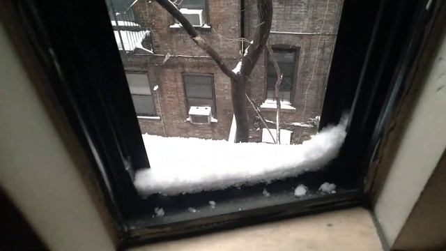 my View of Snow 2021 NYC my apartment смотреть онлайн
