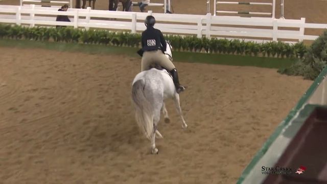 Meghan Taylor & Les Cheneaux - Childrens Htr Class 213 - Led A1 Feb 2020 смотреть онлайн