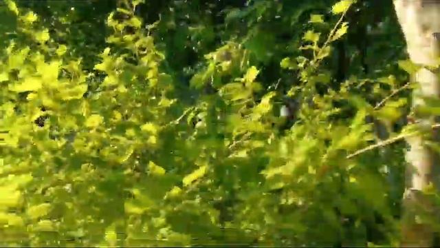 Дача. Энергетик 1. Участок смотреть онлайн